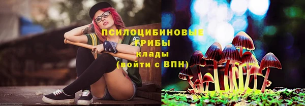 метадон Лагань