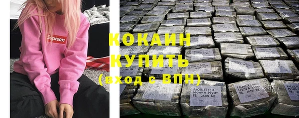 ГАЛЛЮЦИНОГЕННЫЕ ГРИБЫ Ладушкин