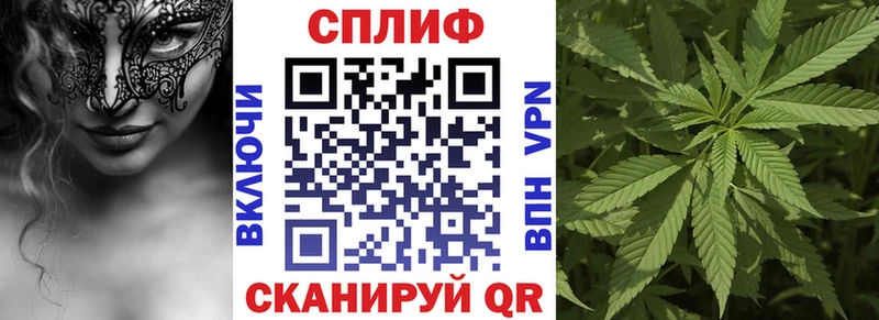 Шишки марихуана сатива  Петропавловск-Камчатский 